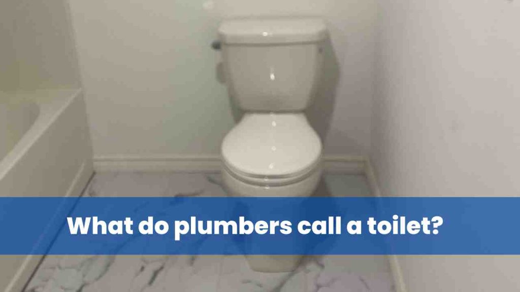 What do plumbers call a toilet
