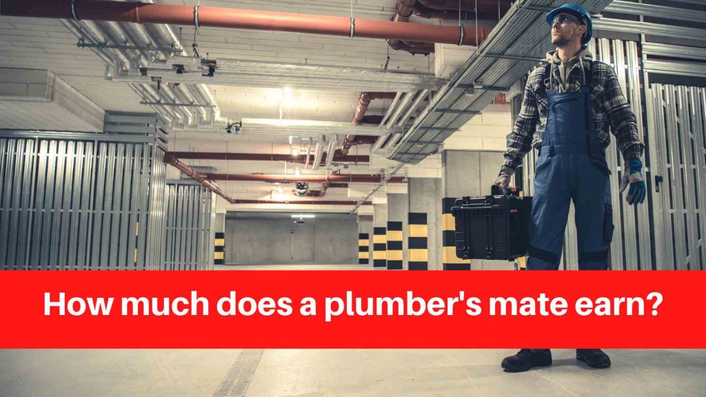 How much does a plumber's mate earn
